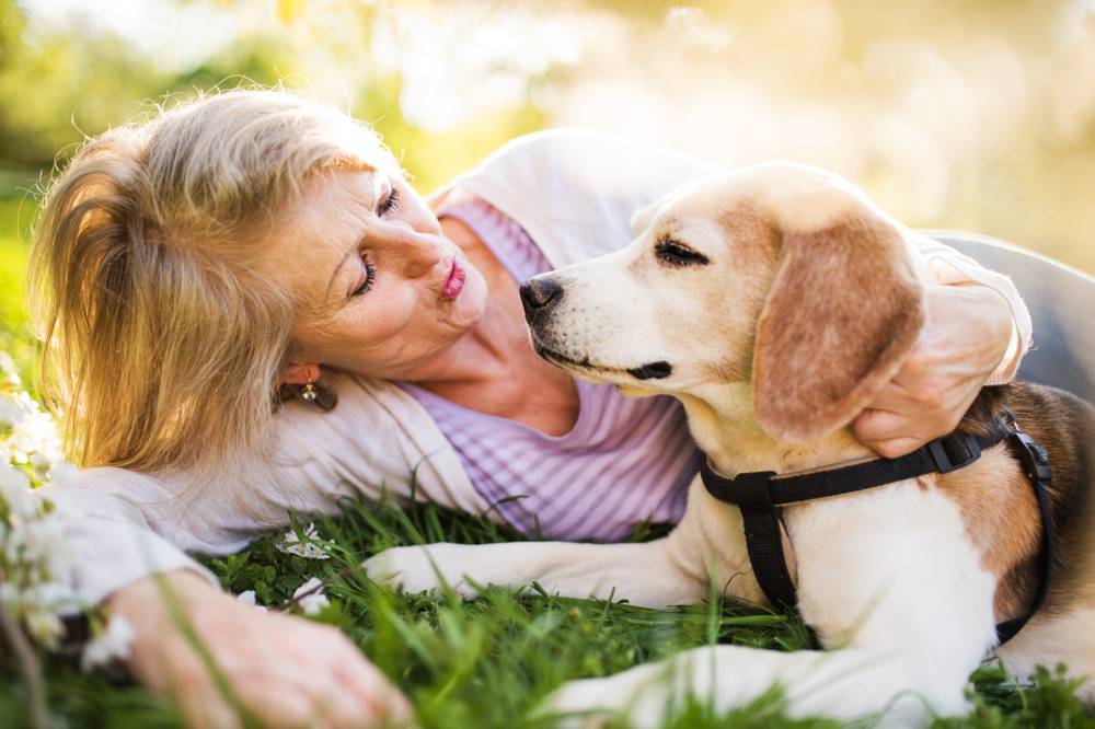 Benefits pets for the elderly
